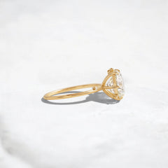 2CT Round Cut Cluster Moissanite Ring with Floating Accent Diamonds