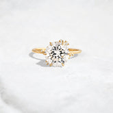 round-cut-2ct-cluster-style-moissanite-engagement-ring-1