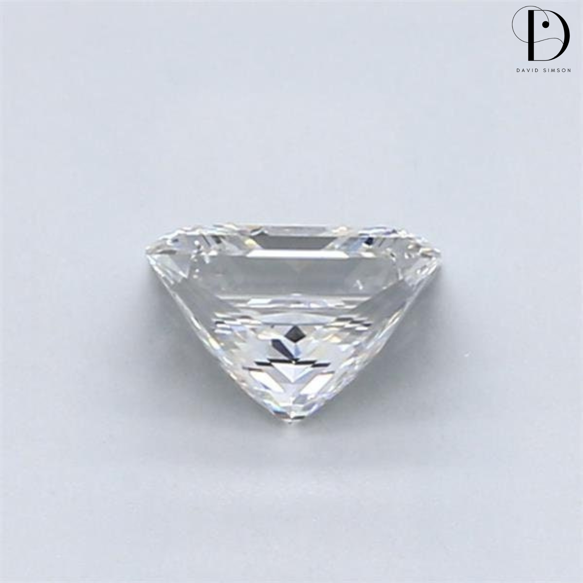 1.0CT Princess Cut Lab-Grown Diamond