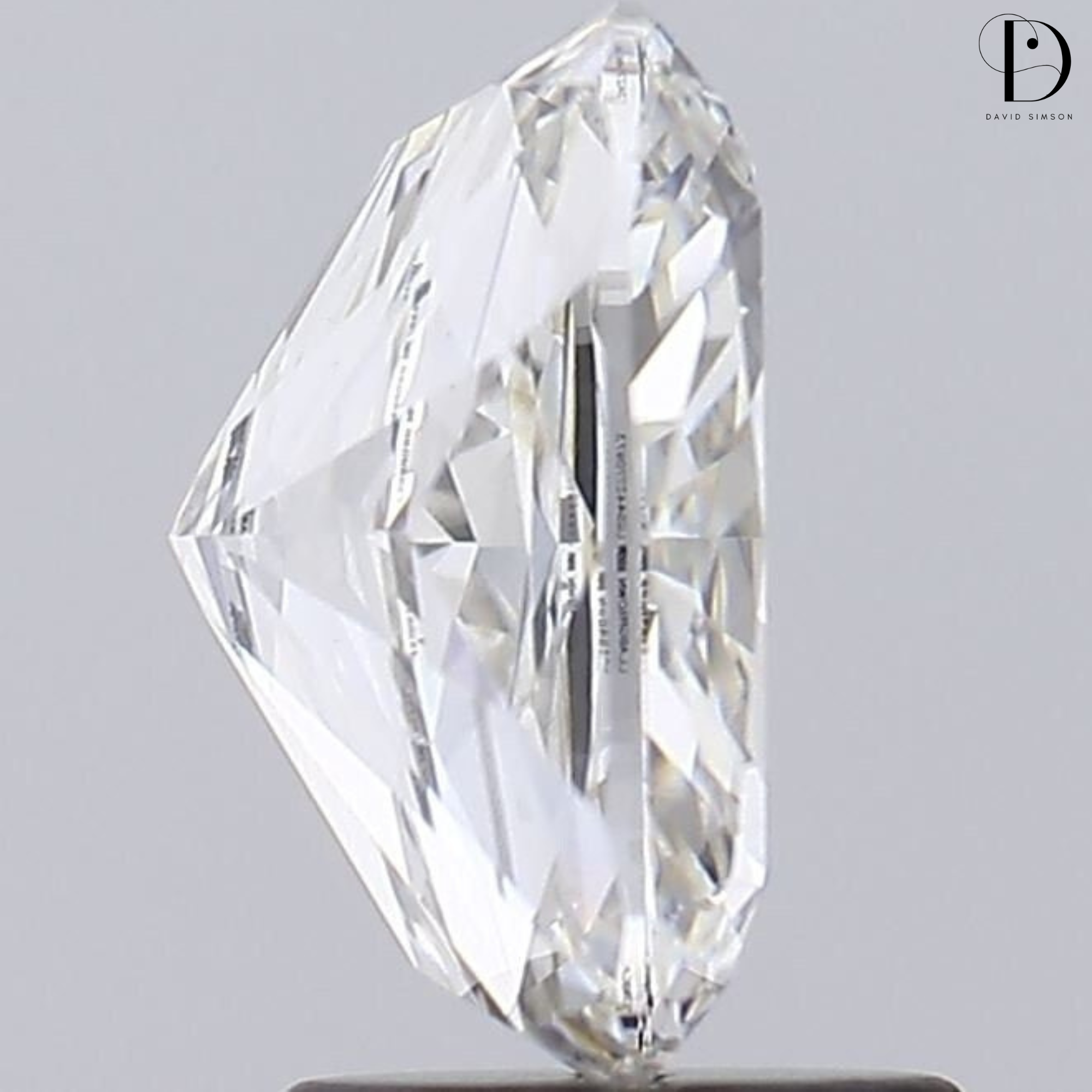 3.01CT Elongated Cushion Cut Lab-Grown Diamond