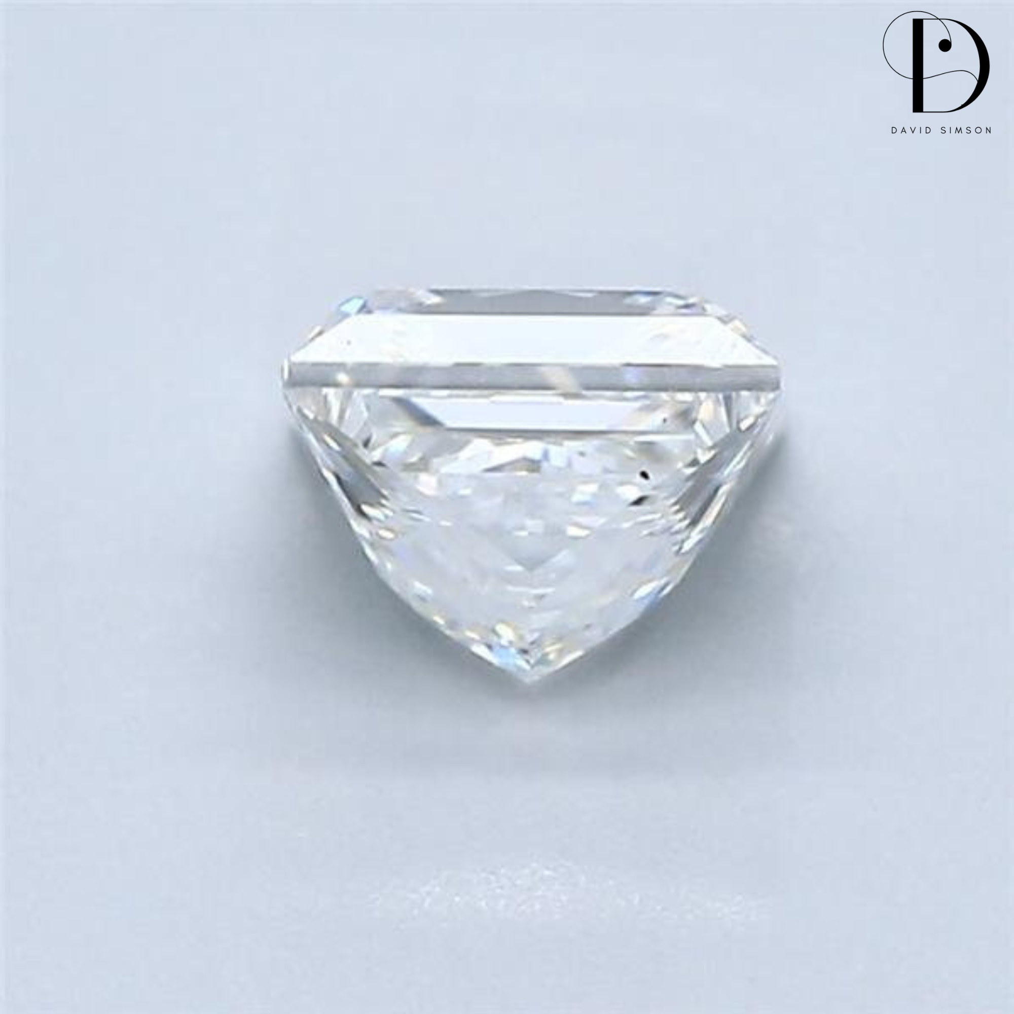 1.0CT Princess Cut Lab-Grown Diamond
